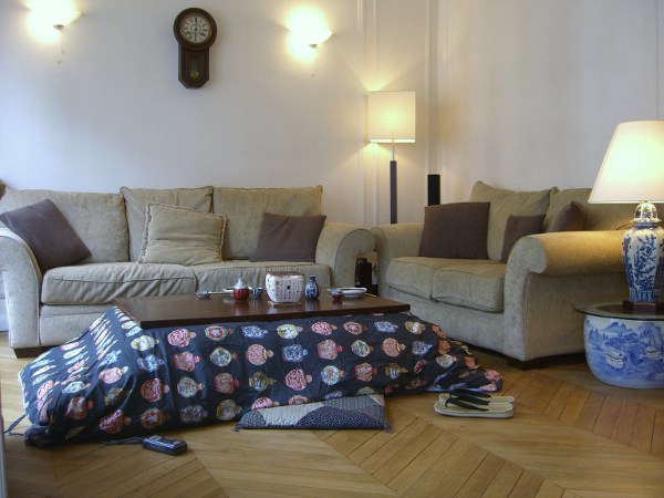 La seule société à importer des kotatsu en France